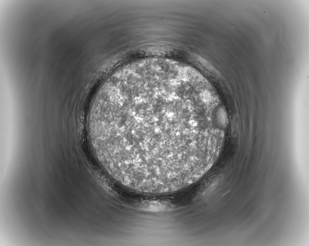 X0000084540737200703161627