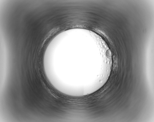 X0000084540738200703161627