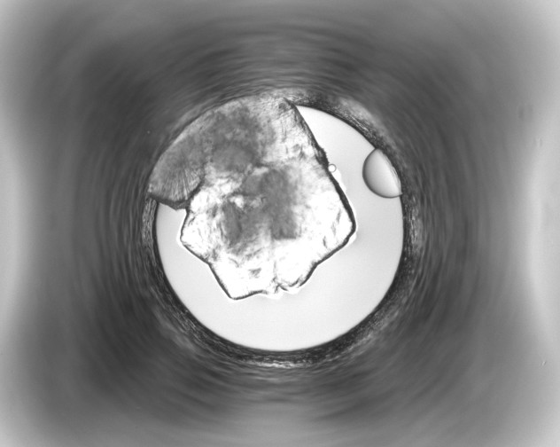 X0000084540741200703161627