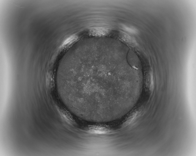 X0000084540743200703161627