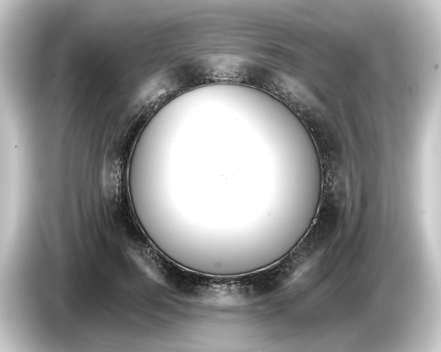 X0000084540744200703161627