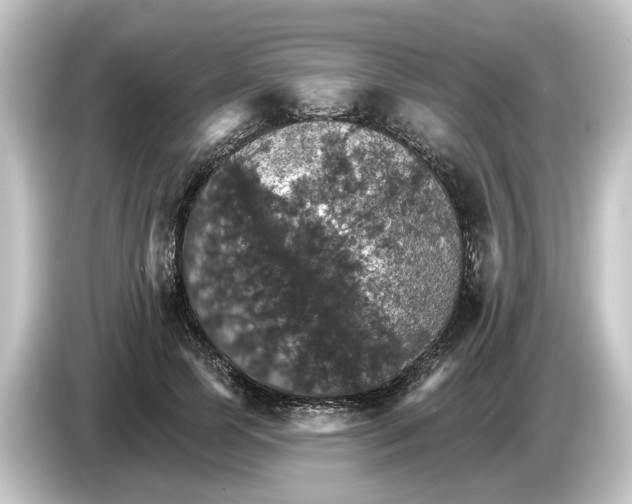 X0000084540745200703161627