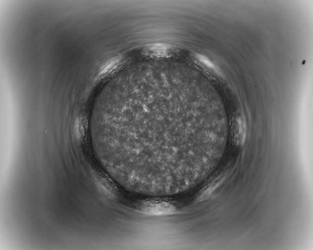 X0000084540747200703161627