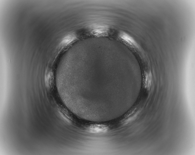 X0000084540748200703161628