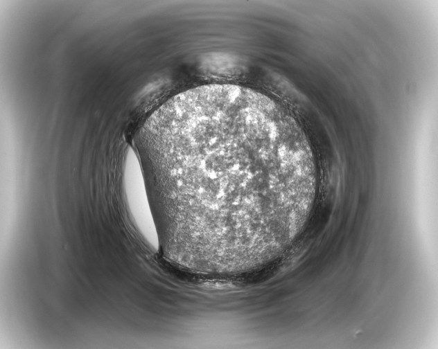 X0000084540749200703161628