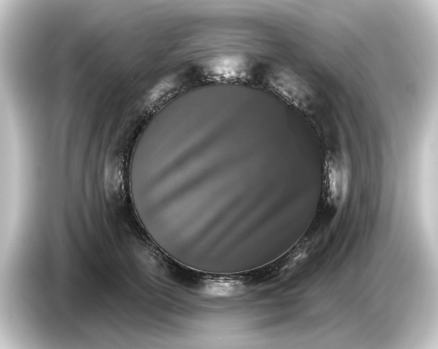 X0000084540754200703161628