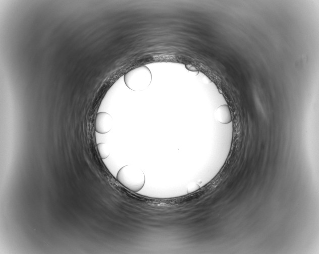 X0000084540755200703161628