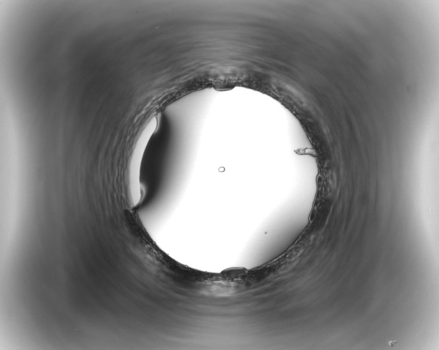 X0000084540756200703161628