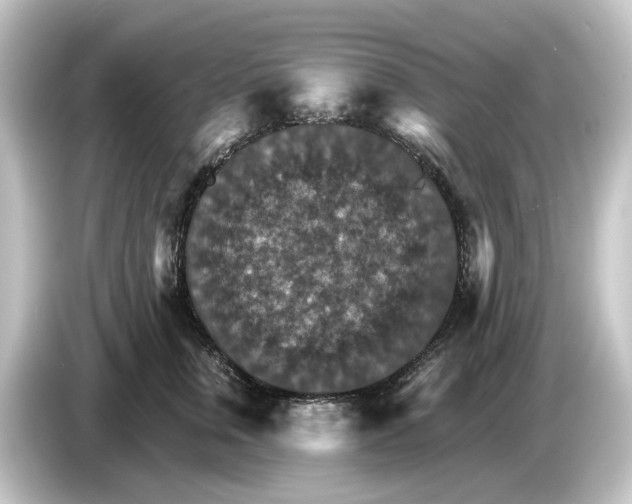 X0000084540759200703161628