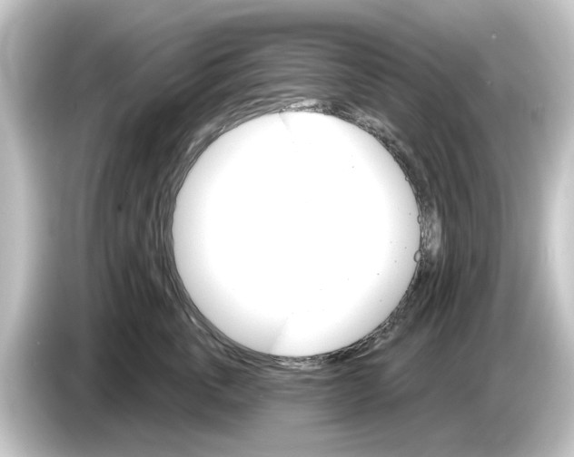 X0000084540763200703161628