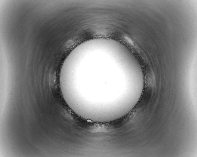 X0000084540764200703161628