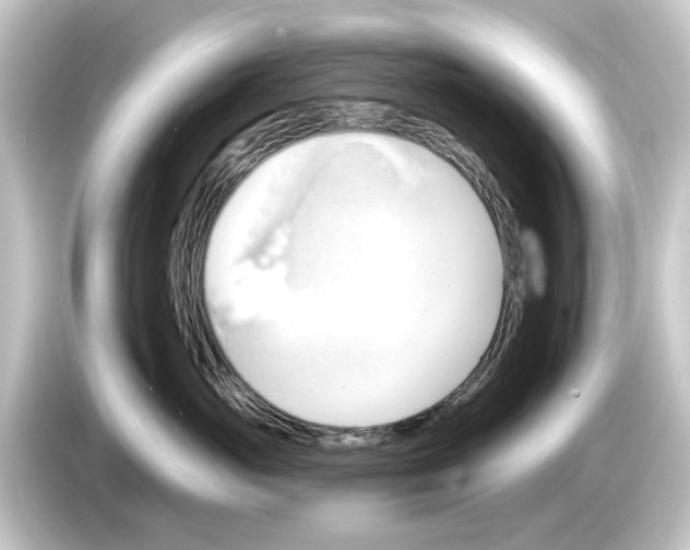 X0000084540765200703161628