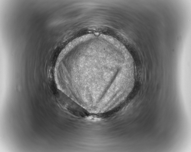 X0000084540770200703161627