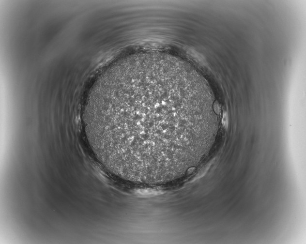 X0000084540771200703161627