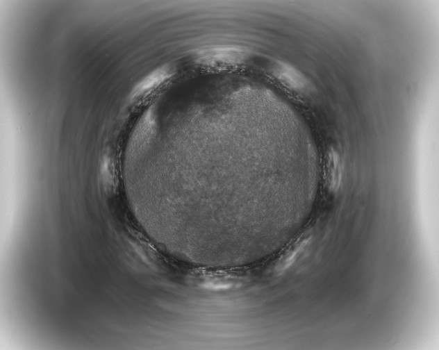 X0000084540774200703161627