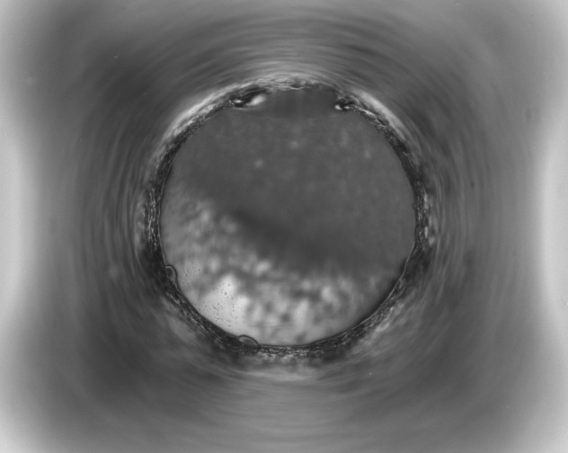 X0000084540775200703161627