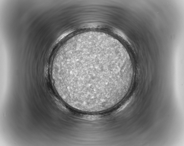 X0000084540778200703161627