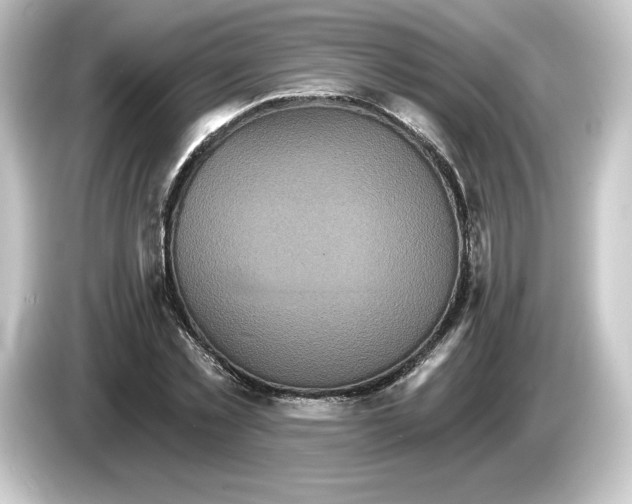 X0000084540781200703161627