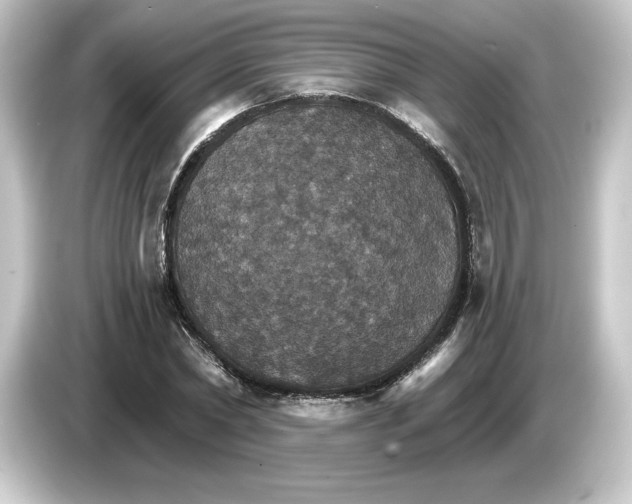 X0000084540782200703161627