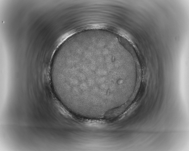 X0000084540786200703161627