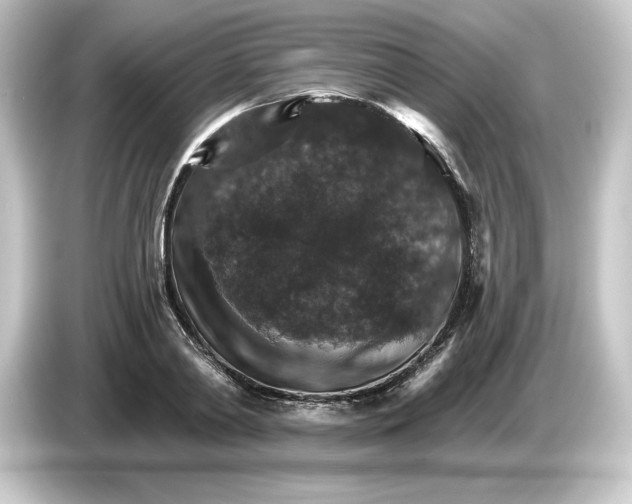 X0000084540790200703161627