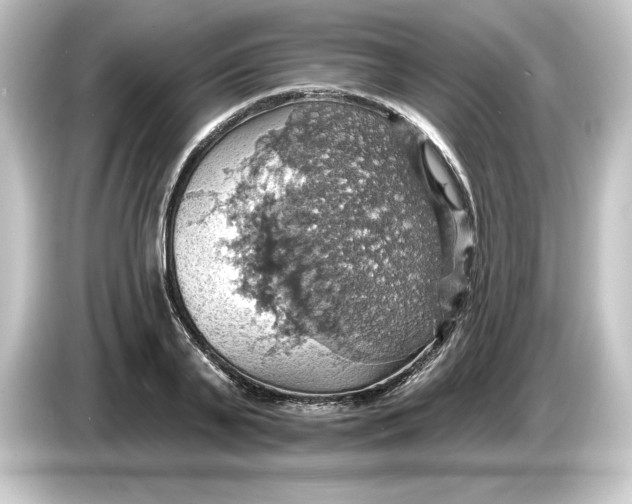 X0000084540791200703161627