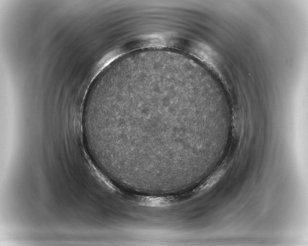 X0000084540794200703161627