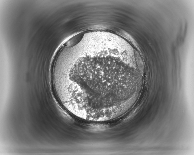 X0000084540795200703161627