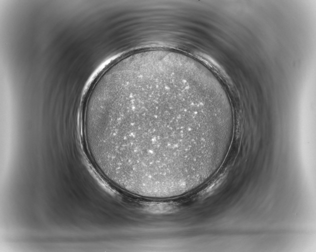 X0000084540796200703161627