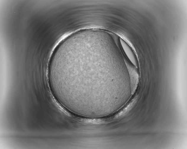 X0000084540797200703161627