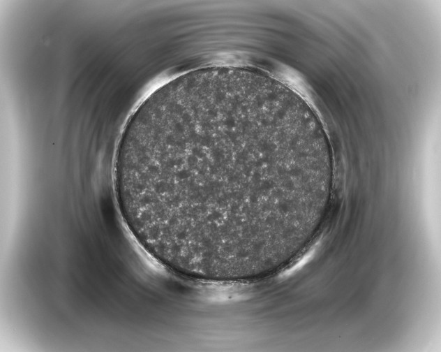 X0000084540803200703161627