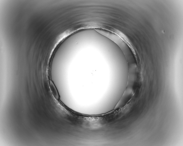 X0000084540805200703161627