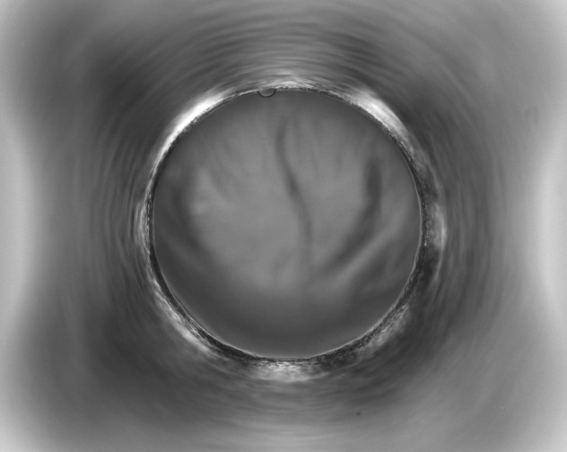 X0000084540806200703161627