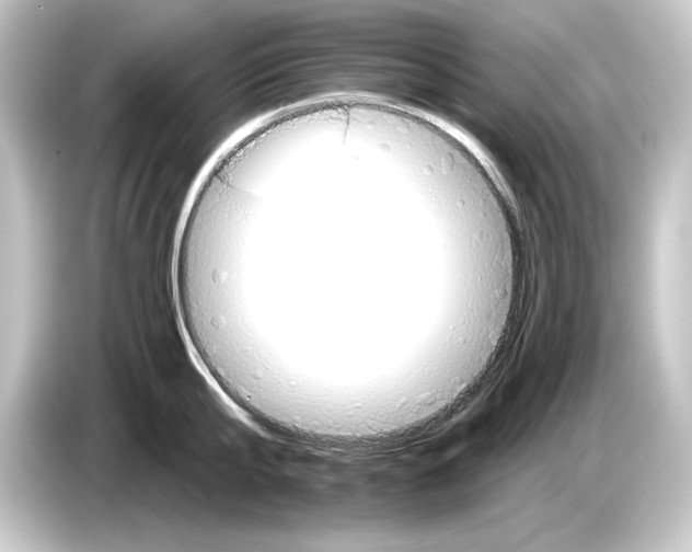 X0000084540807200703161627