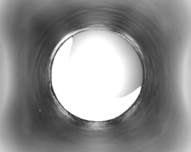 X0000084540808200703161627