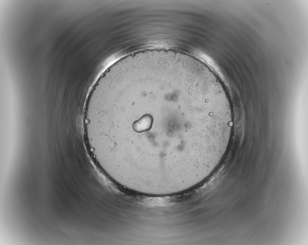 X0000084540810200703161627