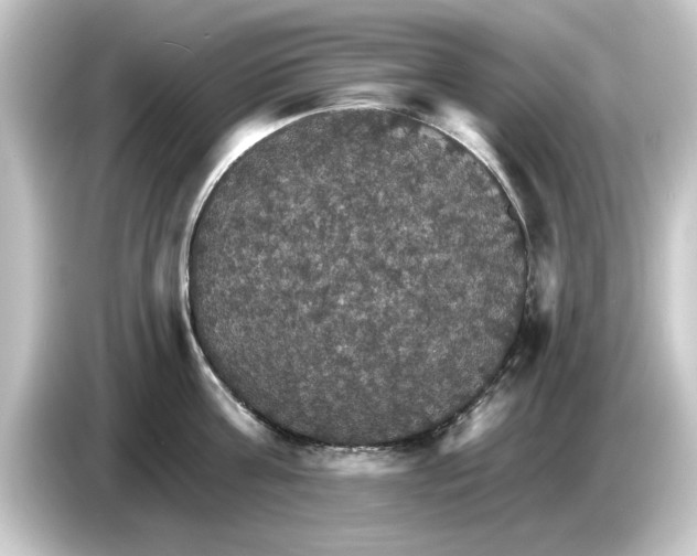 X0000084540811200703161627