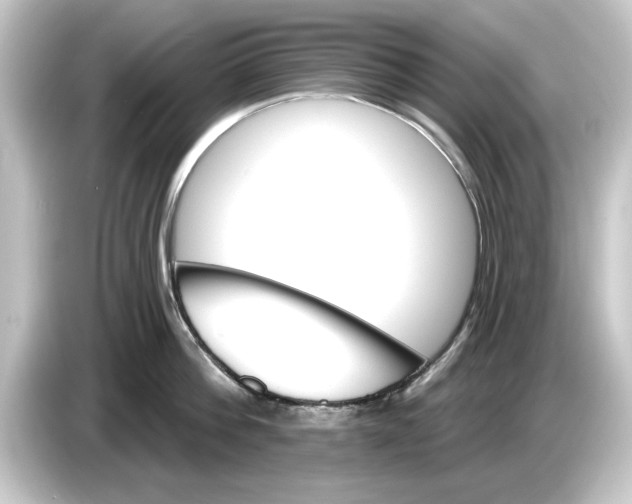 X0000084540812200703161627