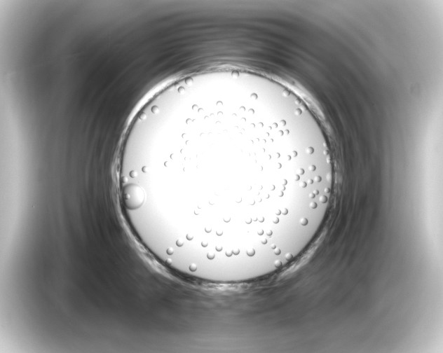 X0000084540814200703161627