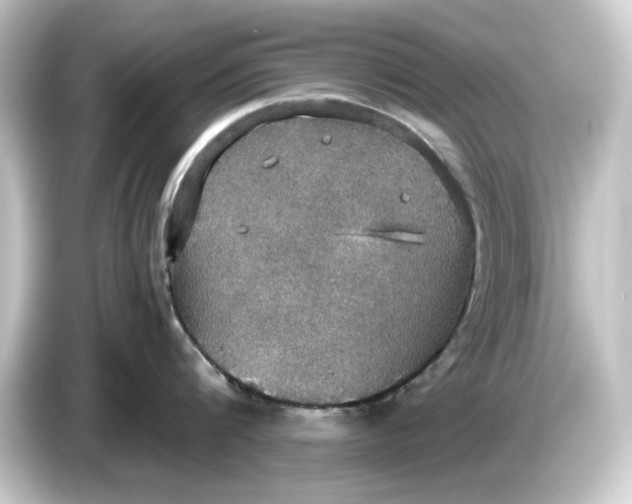 X0000084540816200703161627