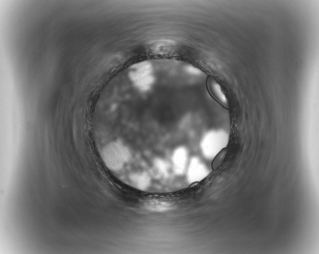 X0000084540817200703161626