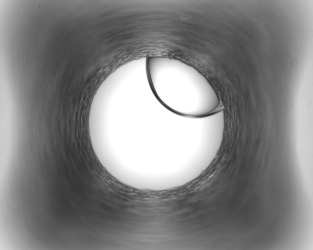 X0000084540818200703161626