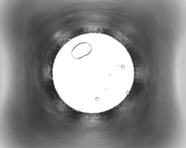 X0000084540820200703161626