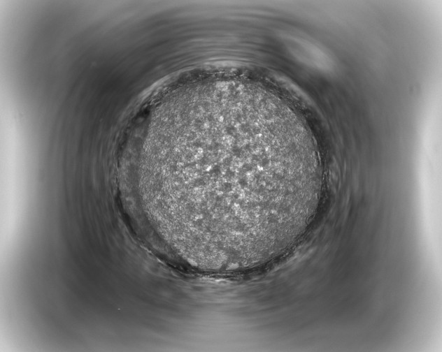 X0000084540821200703161626