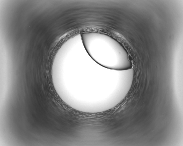 X0000084540822200703161626