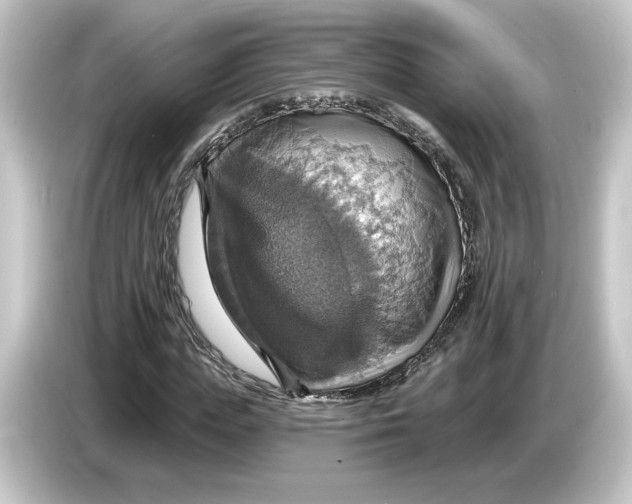 X0000084540823200703161626