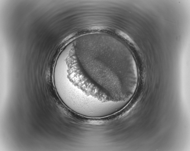 X0000084540825200703161626