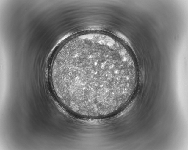 X0000084540827200703161626