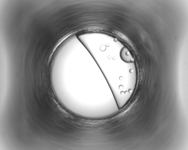 X0000084540829200703161626