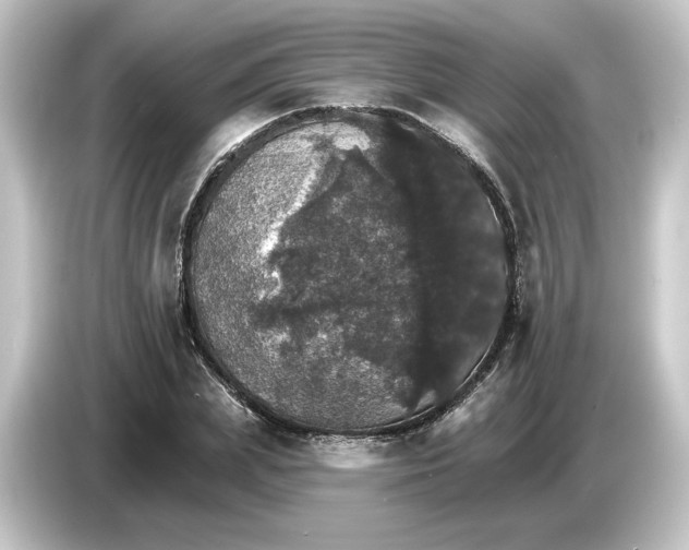 X0000084540831200703161626